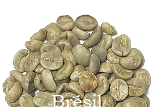 CAFÉ VERT BRÉSIL – ESPIRITO SANTO – MURIQUI NON TORRIFIÉ