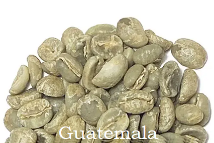 CAFÉ VERT GUATEMALA – HUEHUETENANGO – QUETZALITO BIO NON TORRIFIÉ