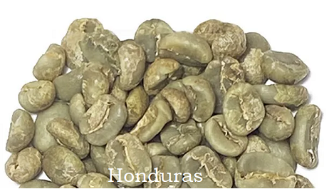 CAFÉ VERT HONDURAS – MARCALA – CEIBA BIO NON TORRIFIÉ