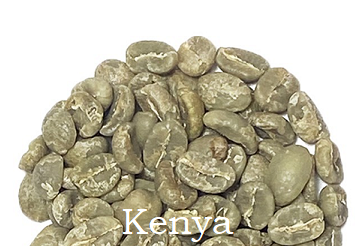 CAFÉ VERT KENYA – KIAMBU – MAASAÏ NON TORRIFIÉ