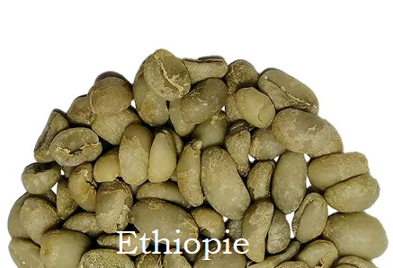 CAFÉ VERT ETHIOPIE – GUJI – SHAKISO MANCITY BIO NON TORRIFIÉ