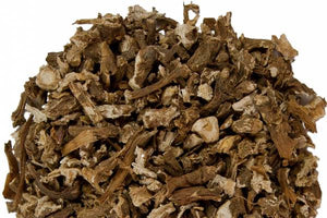 Pissenlit racines- Dandelion root